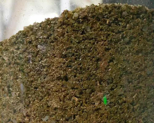 Biokunststoff in durchsichtigem Behälter