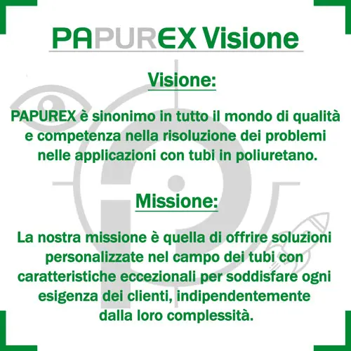 La visione aziendale di PAPUREX