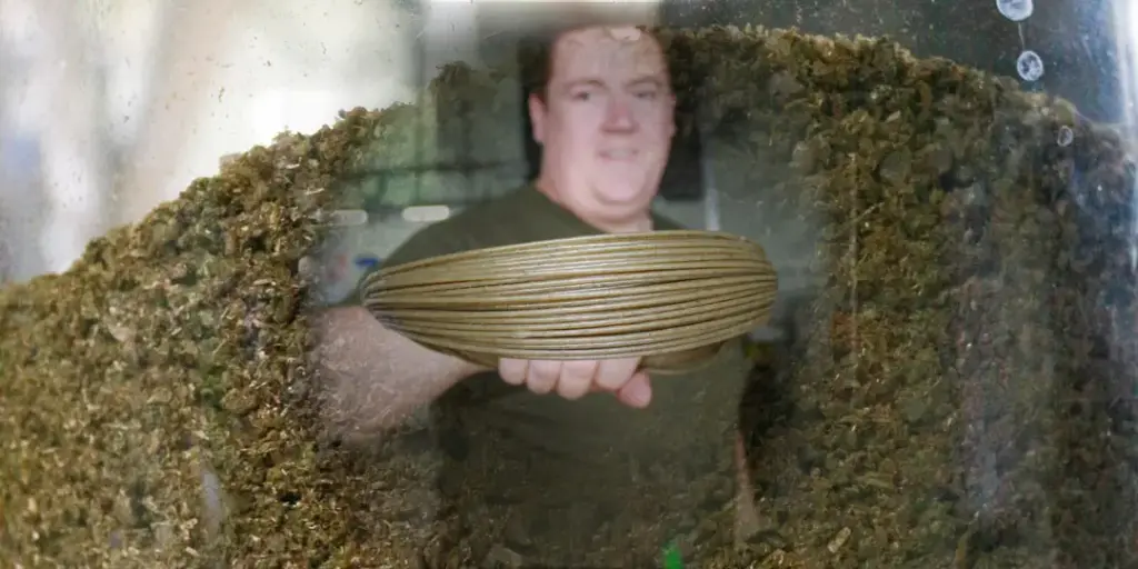 Titelbild zum Thema Biokunststoff